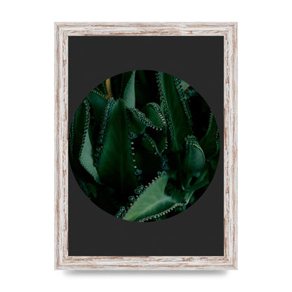 Black Back Green Plant Disc Series Six Wall Art - A4 framed