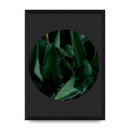 Black Back Green Plant Disc Series Six Wall Art - A4 framed
