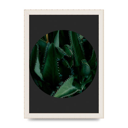 Black Back Green Plant Disc Series Six Wall Art - A4 framed