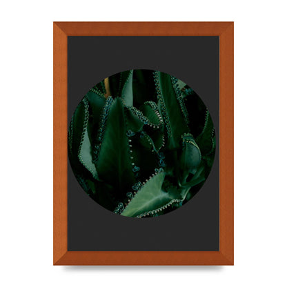 Black Back Green Plant Disc Series Six Wall Art - A4 framed