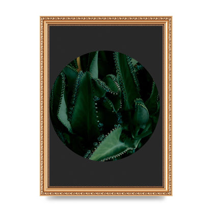 Black Back Green Plant Disc Series Six Wall Art - A4 framed