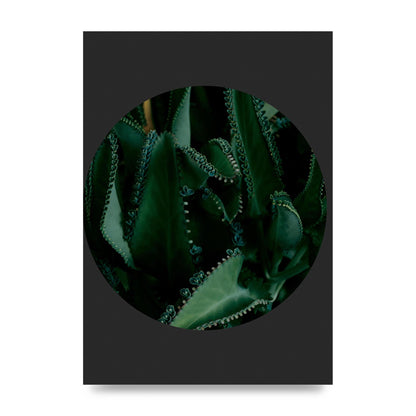 Black Back Green Plant Disc Series Six Wall Art - unframed print