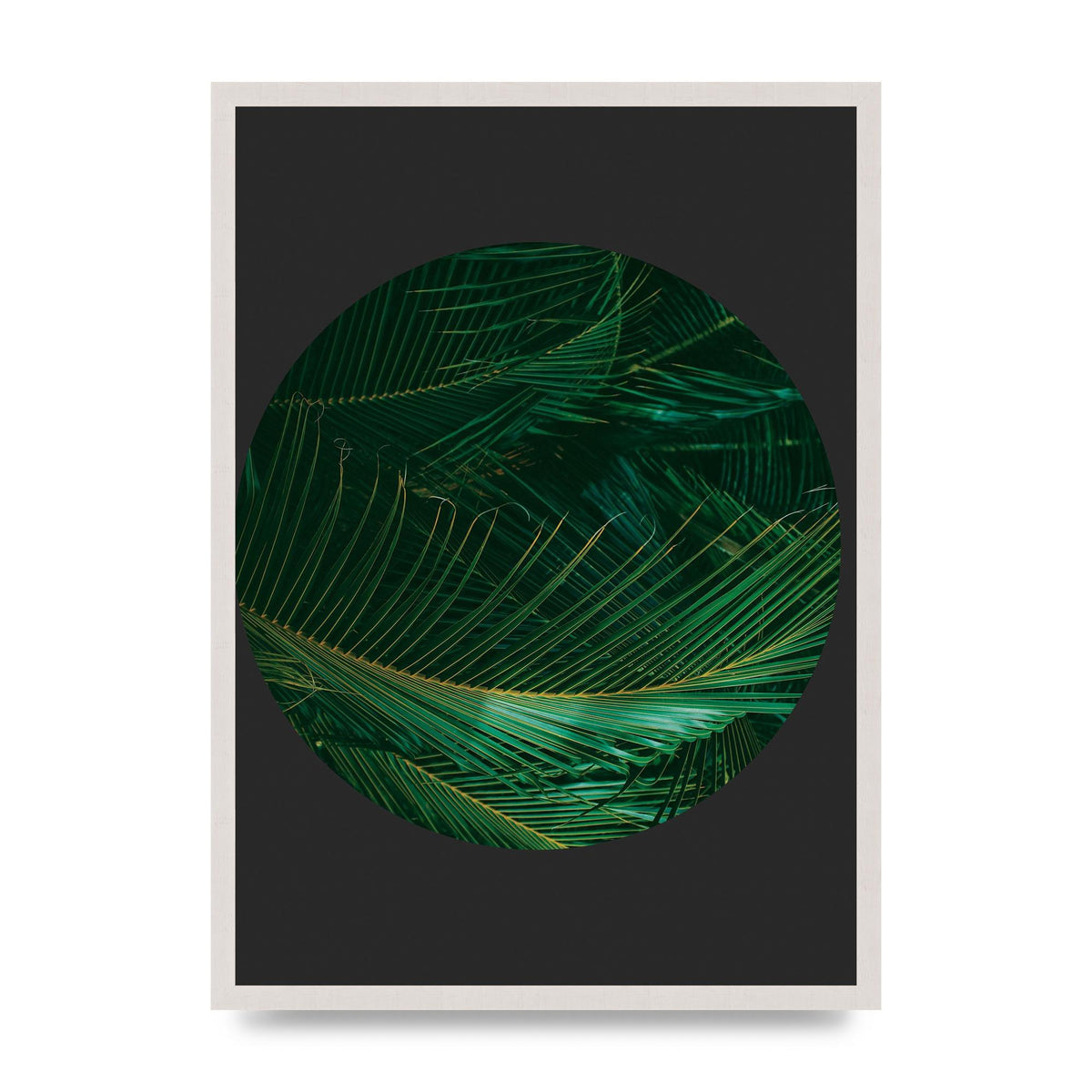 Black Back Green Plant Disc Series Seven Art For The Home - A2 framed