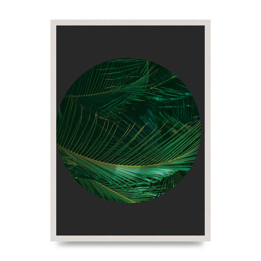 Black Back Green Plant Disc Series Seven Art For The Home - A2 framed
