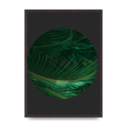 Black Back Green Plant Disc Series Seven Art For The Home - A2 framed