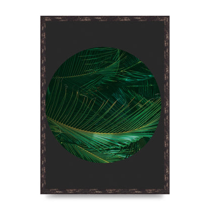 Black Back Green Plant Disc Series Seven Art For The Home - A2 framed