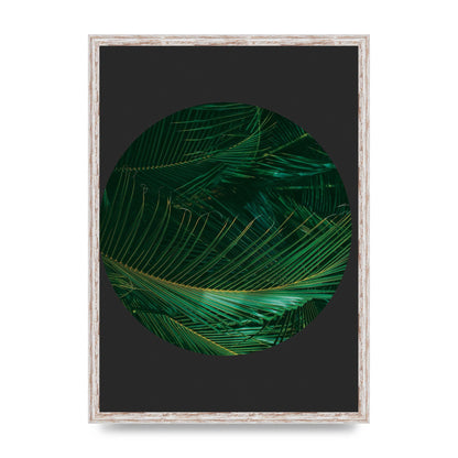Black Back Green Plant Disc Series Seven Art For The Home - A2 framed
