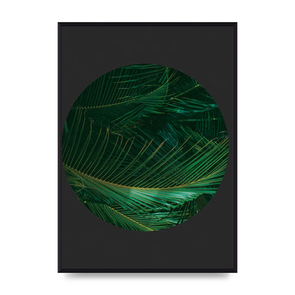 Black Back Green Plant Disc Series Seven Art For The Home - A2 framed