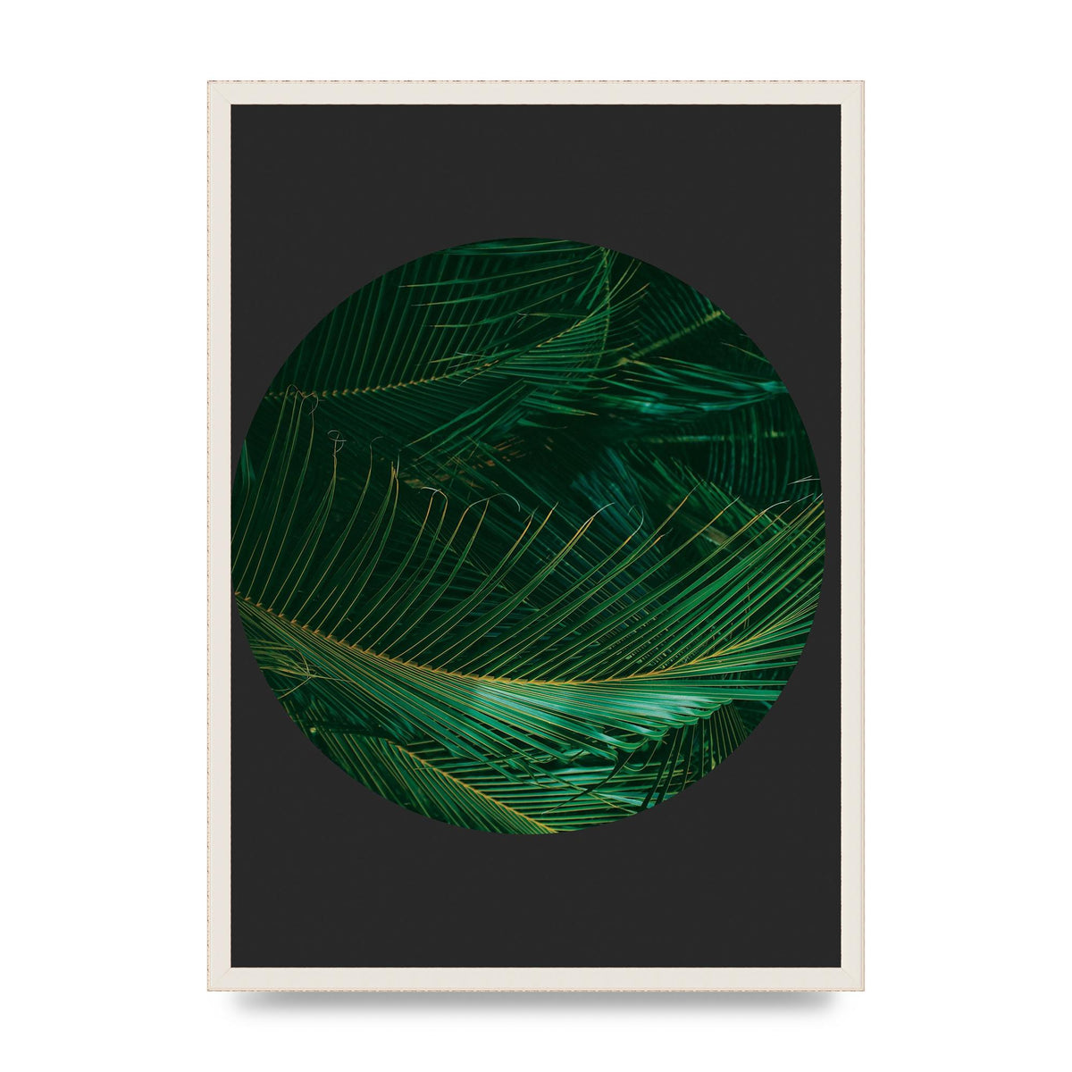 Black Back Green Plant Disc Series Seven Art For The Home - A2 framed