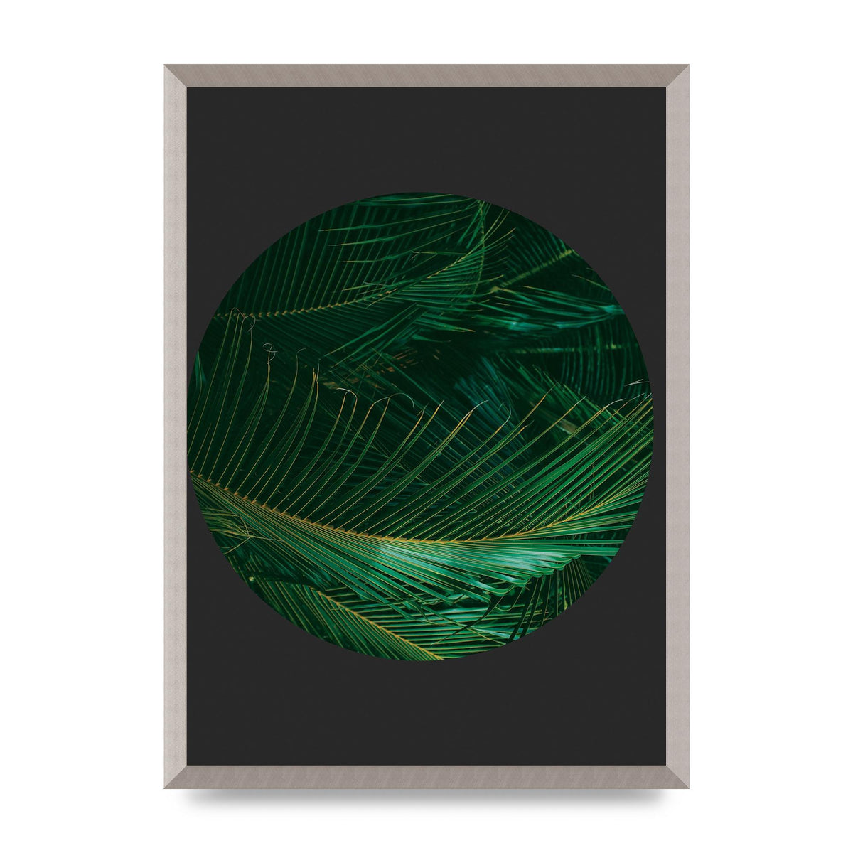 Black Back Green Plant Disc Series Seven Art For The Home - A2 framed