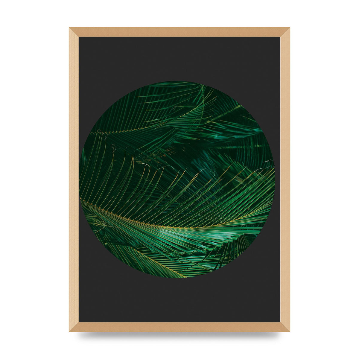Black Back Green Plant Disc Series Seven Art For The Home - A2 framed