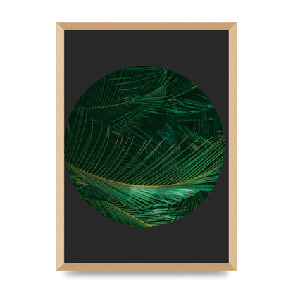 Black Back Green Plant Disc Series Seven Art For The Home - A2 framed