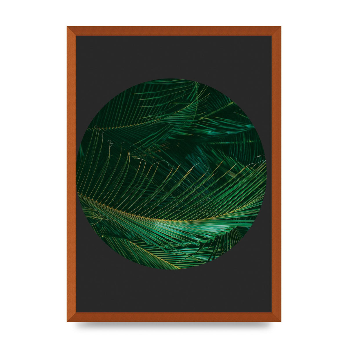 Black Back Green Plant Disc Series Seven Art For The Home - A2 framed
