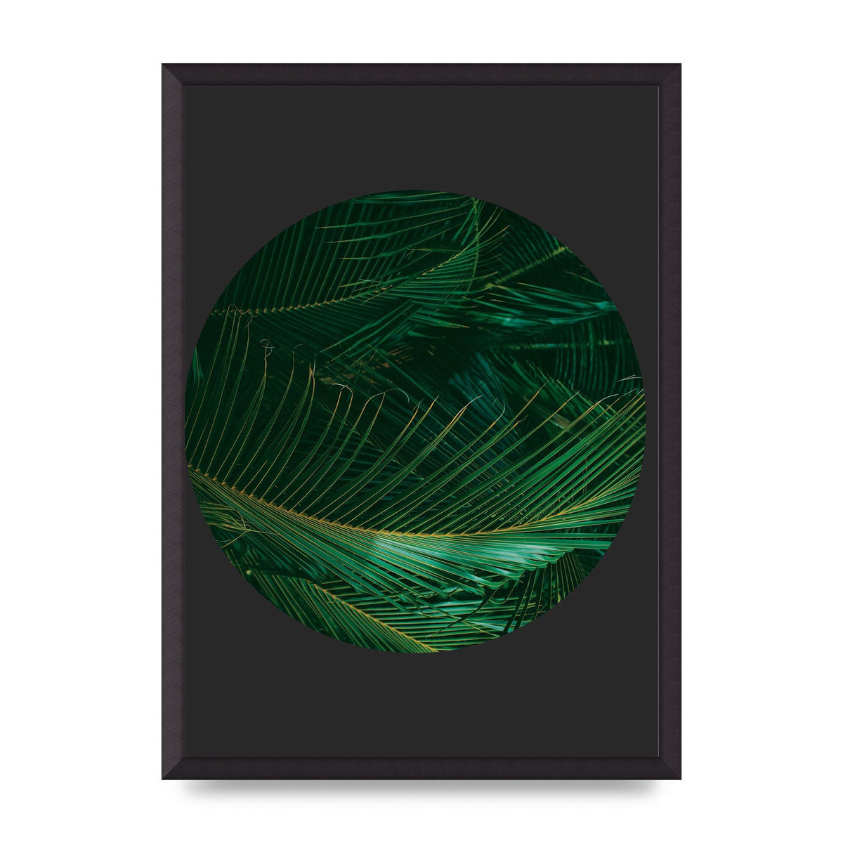Black Back Green Plant Disc Series Seven Art For The Home - A2 framed