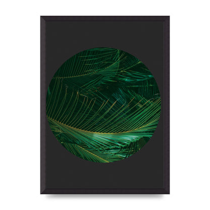 Black Back Green Plant Disc Series Seven Art For The Home - A2 framed