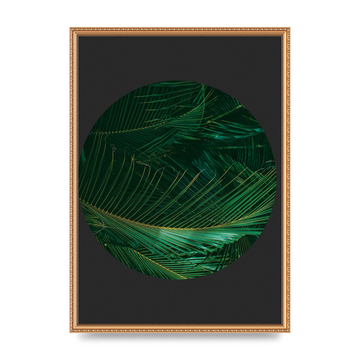 Black Back Green Plant Disc Series Seven Art For The Home - A2 framed