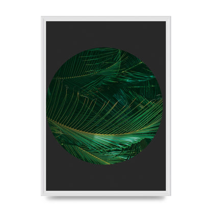 Black Back Green Plant Disc Series Seven Art For The Home - A2 framed
