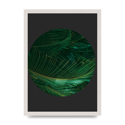 Black Back Green Plant Disc Series Seven Art For The Home - A3 framed