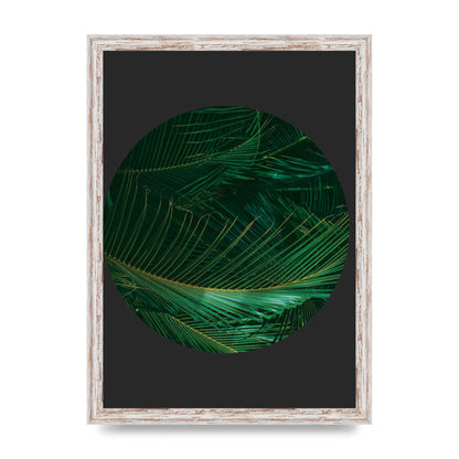 Black Back Green Plant Disc Series Seven Art For The Home - A3 framed
