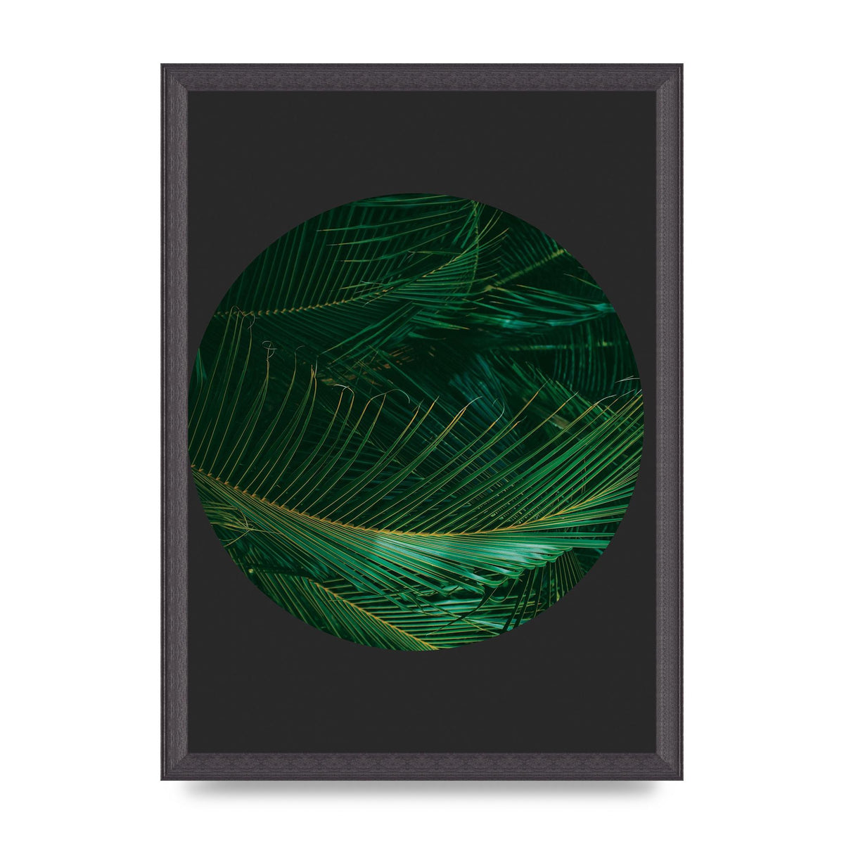 Black Back Green Plant Disc Series Seven Art For The Home - A3 framed