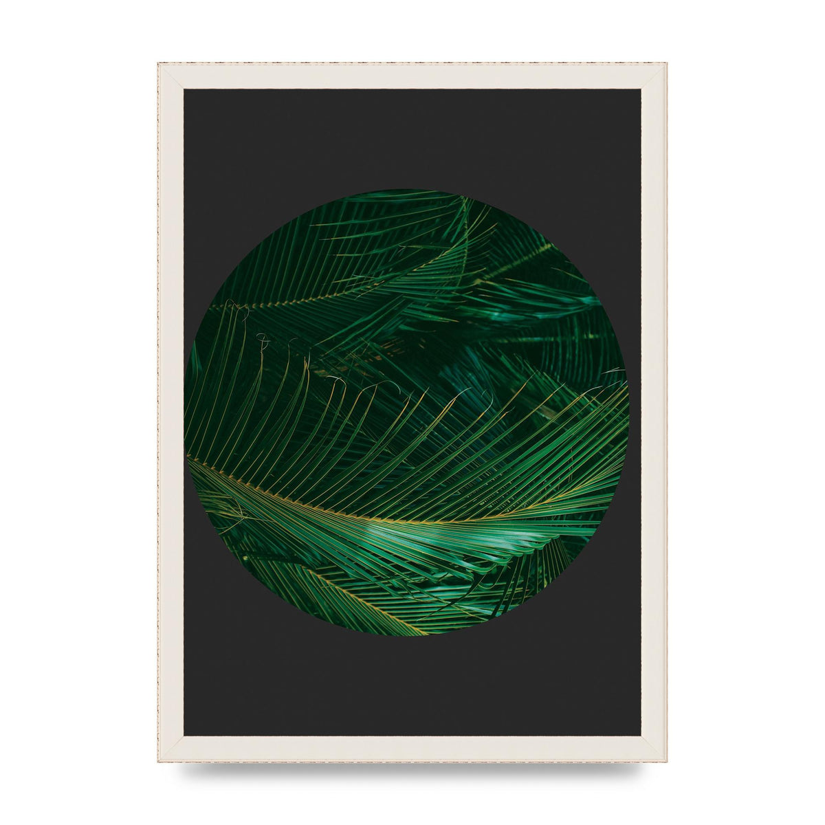 Black Back Green Plant Disc Series Seven Art For The Home - A3 framed