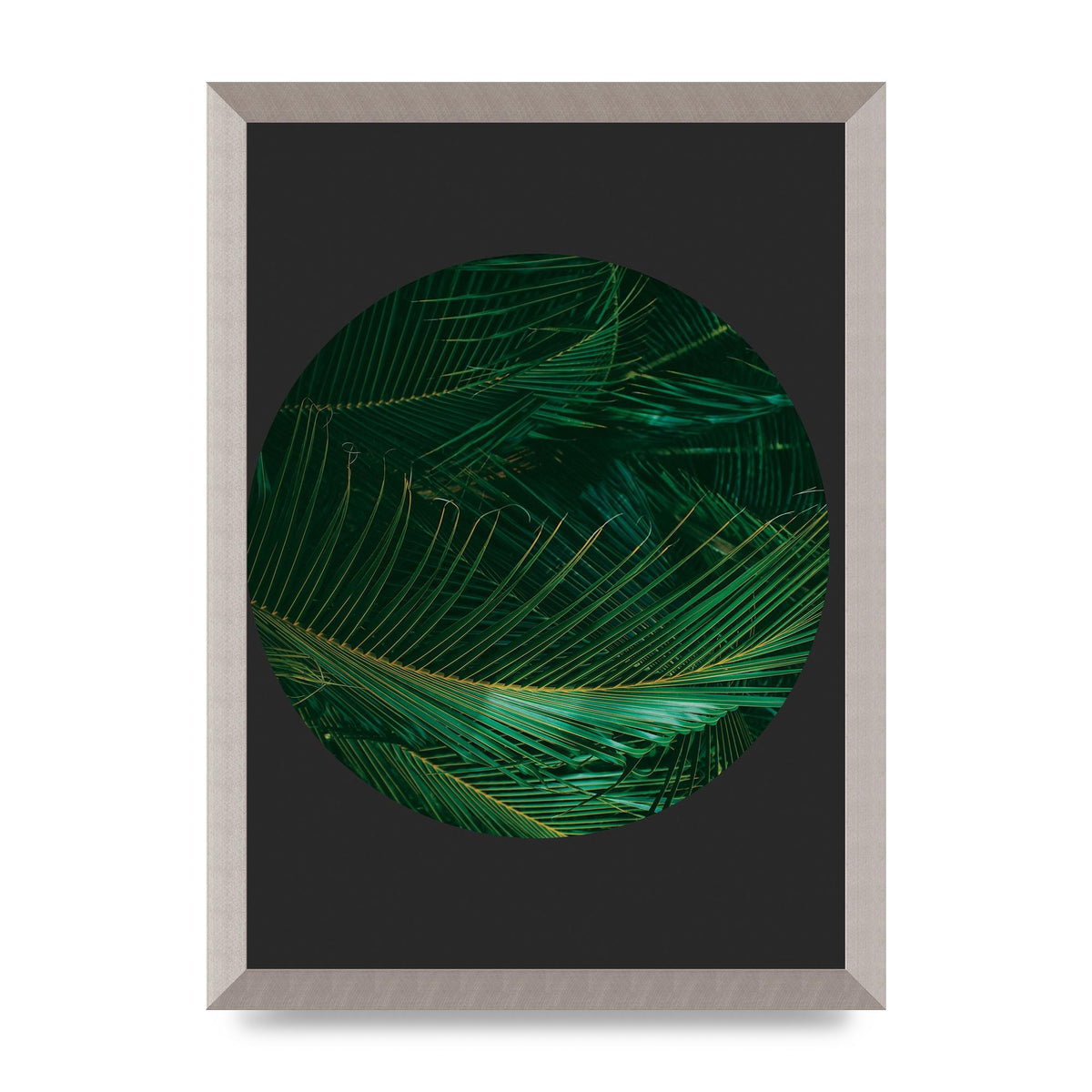 Black Back Green Plant Disc Series Seven Art For The Home - A3 framed