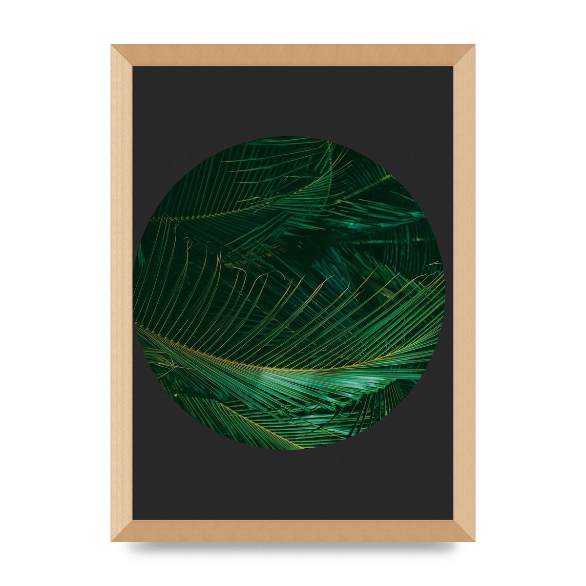 Black Back Green Plant Disc Series Seven Art For The Home - A3 framed