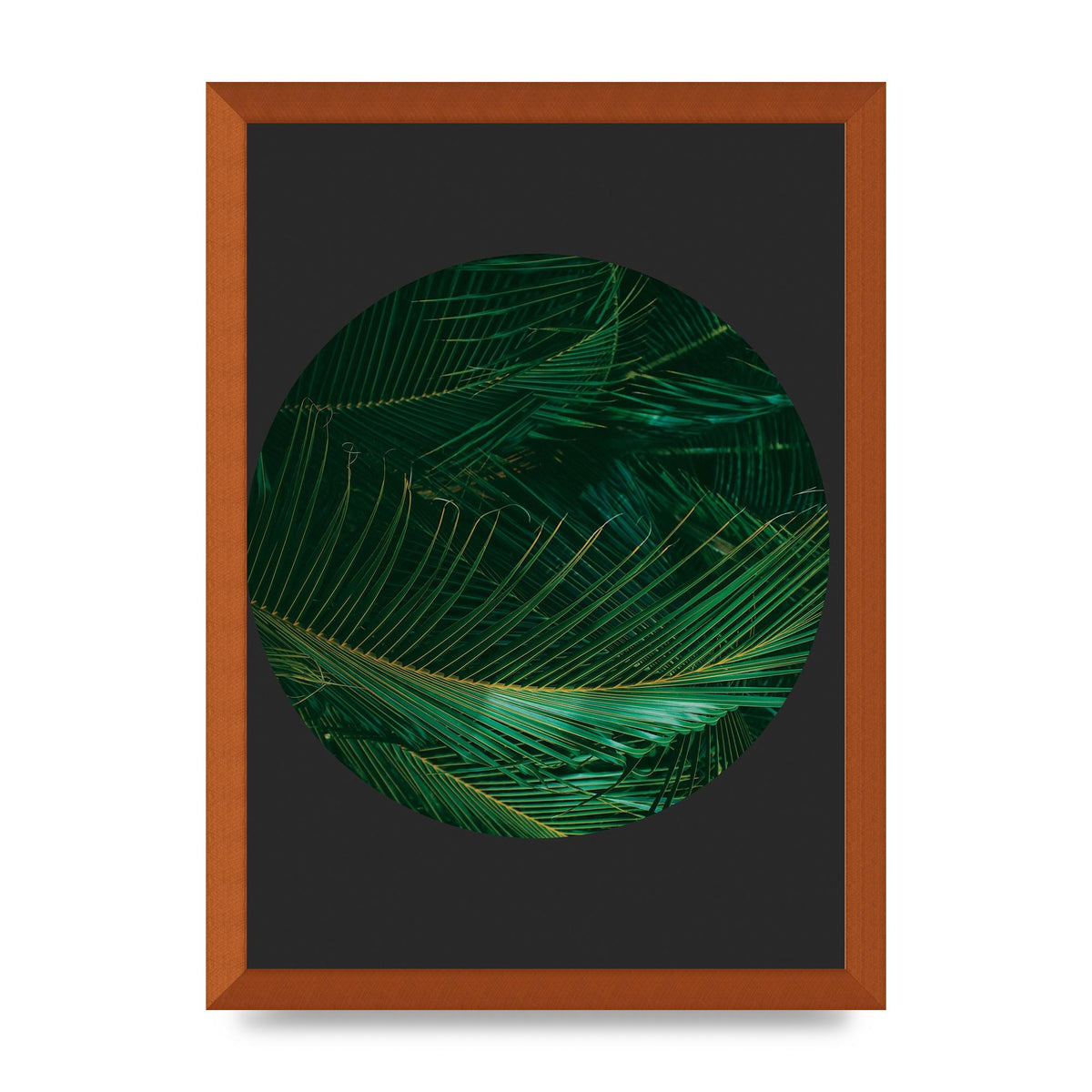Black Back Green Plant Disc Series Seven Art For The Home - A3 framed
