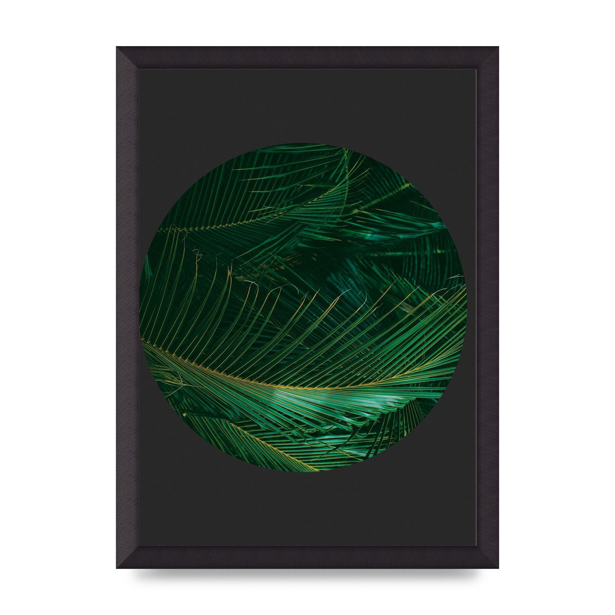 Black Back Green Plant Disc Series Seven Art For The Home - A3 framed