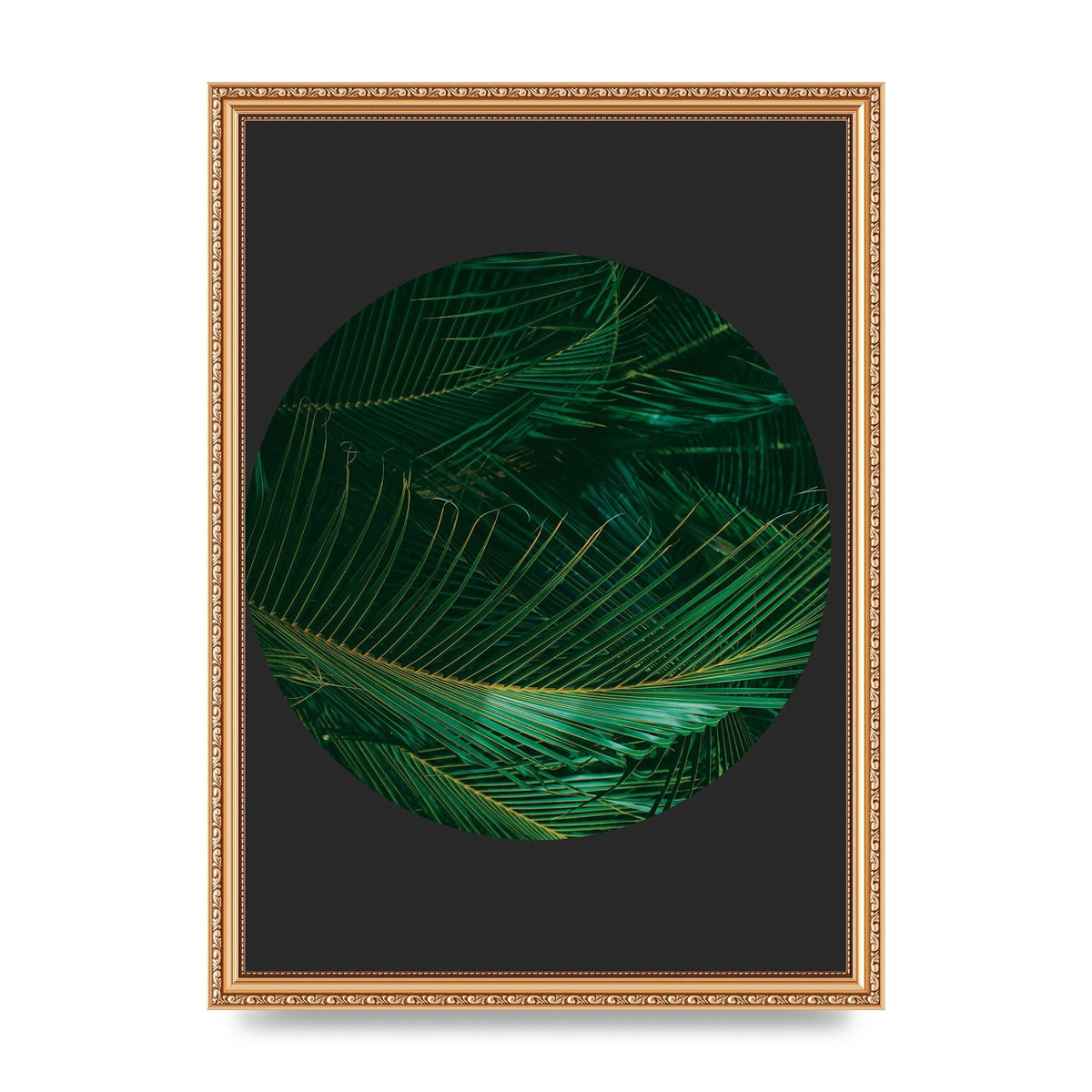 Black Back Green Plant Disc Series Seven Art For The Home - A3 framed