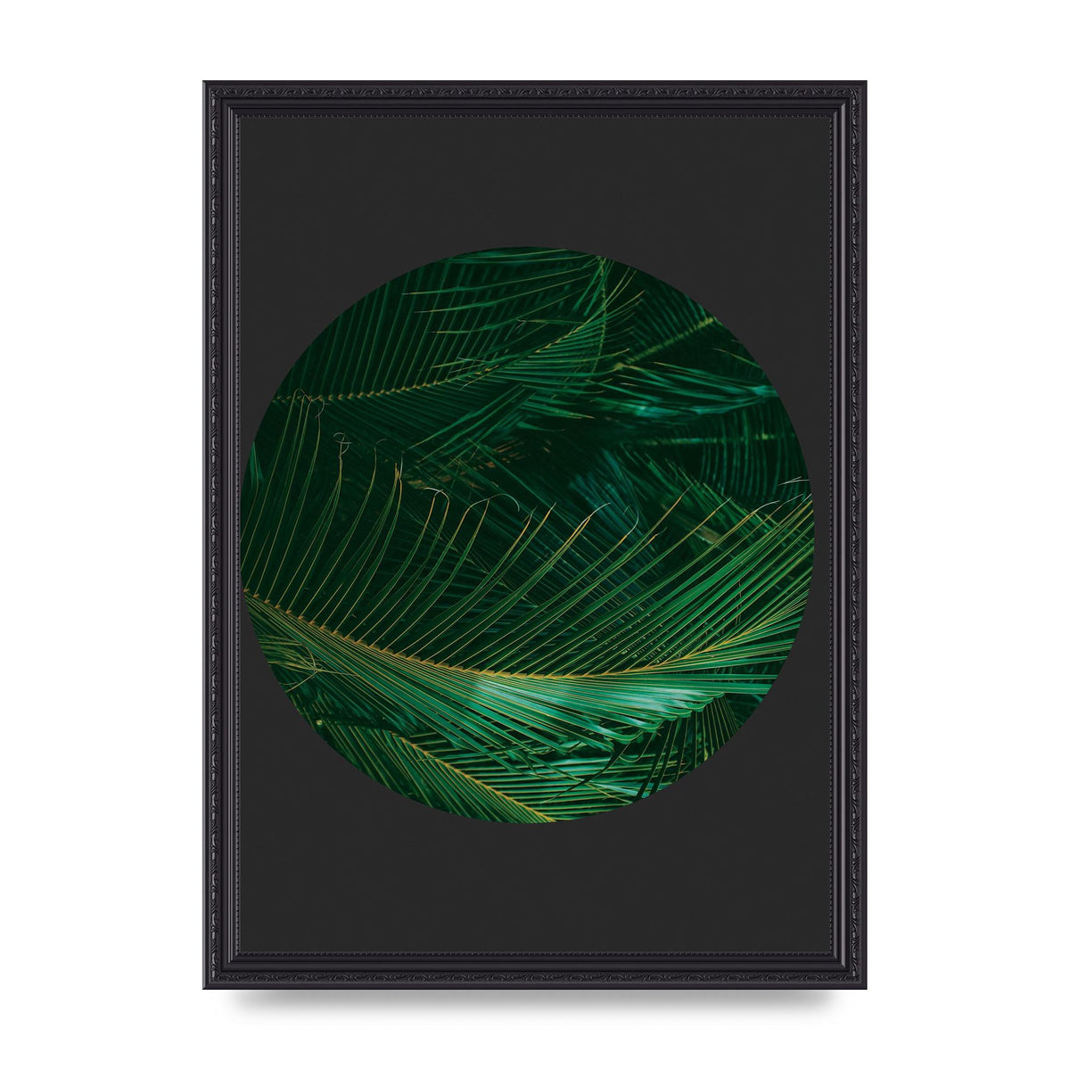 Black Back Green Plant Disc Series Seven Art For The Home - A3 framed