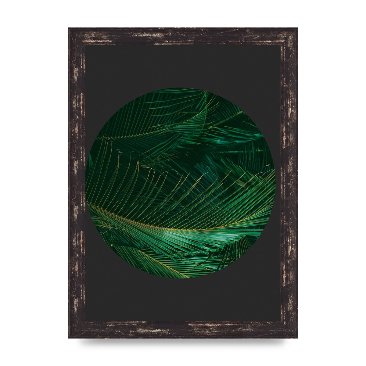 Black Back Green Plant Disc Series Seven Art For The Home - A4 framed