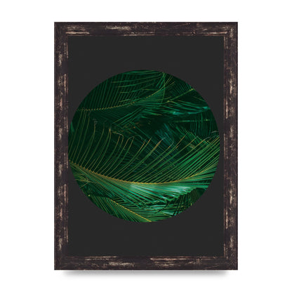 Black Back Green Plant Disc Series Seven Art For The Home - A4 framed