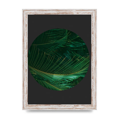 Black Back Green Plant Disc Series Seven Art For The Home - A4 framed