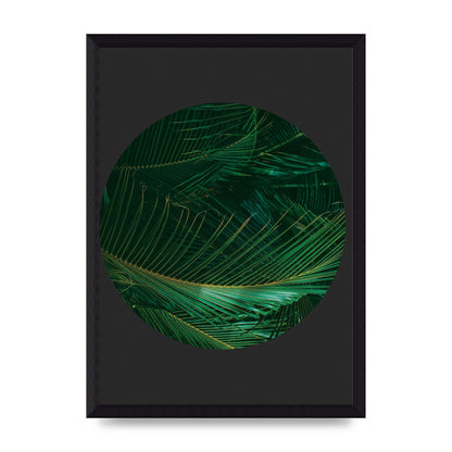Black Back Green Plant Disc Series Seven Art For The Home - A4 framed
