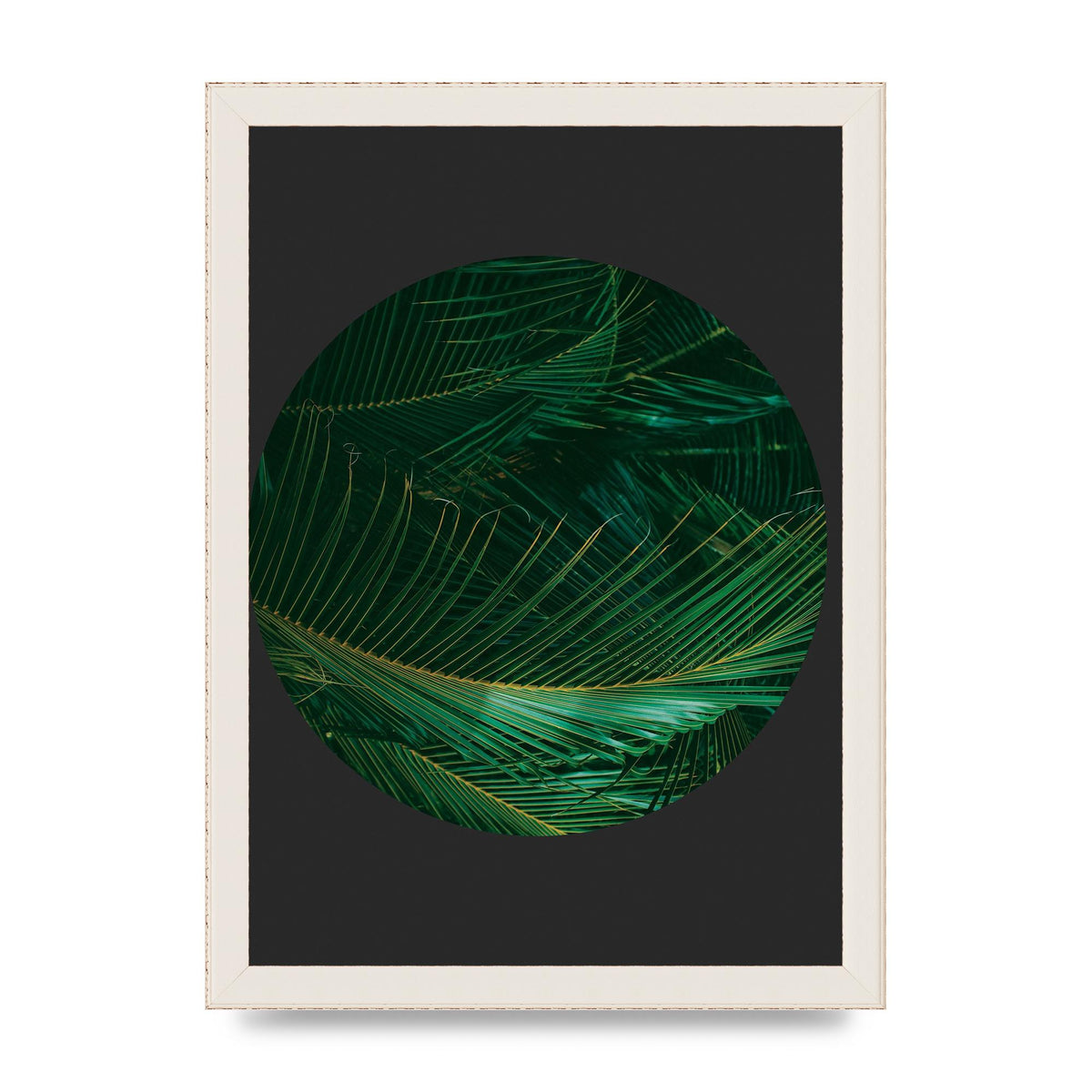 Black Back Green Plant Disc Series Seven Art For The Home - A4 framed