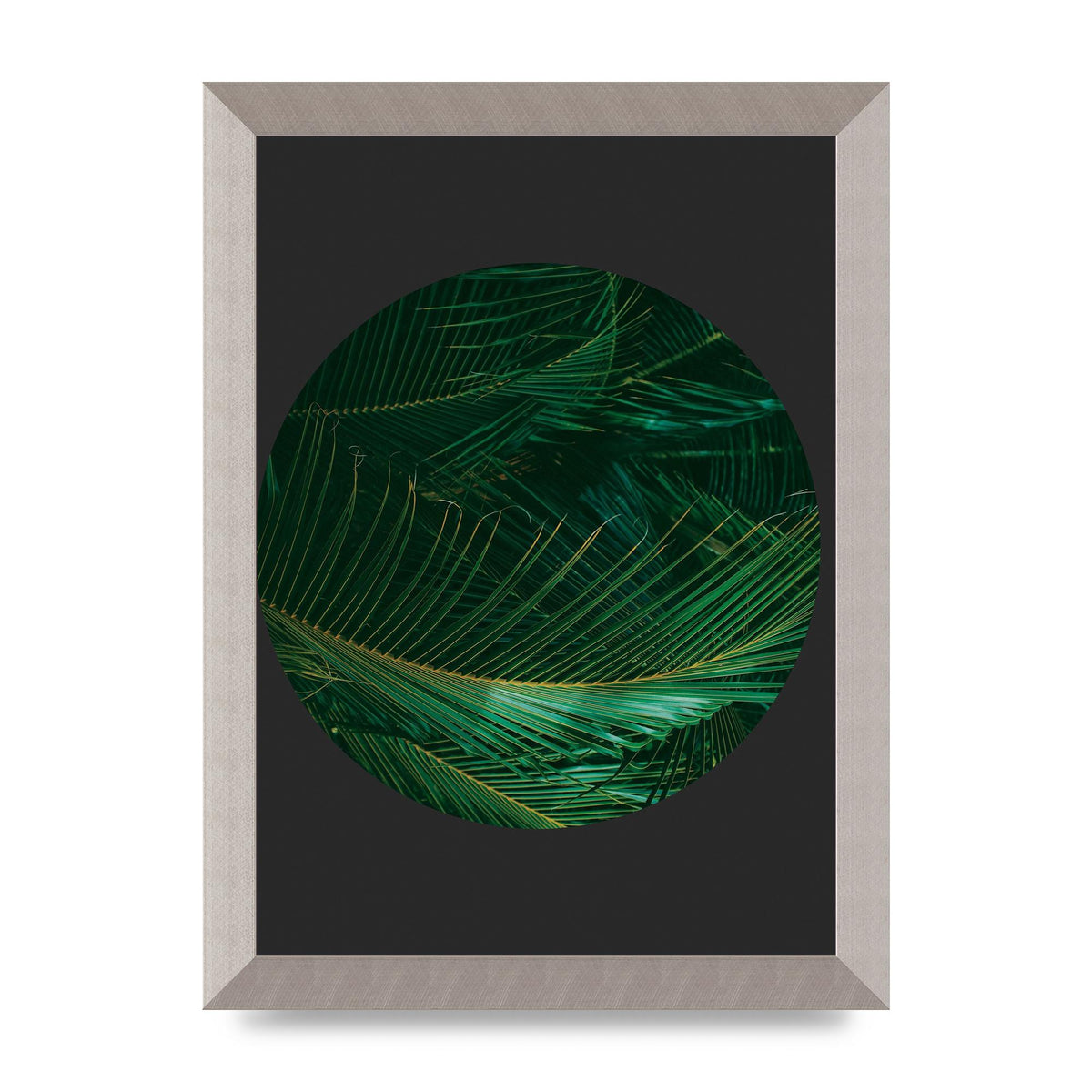 Black Back Green Plant Disc Series Seven Art For The Home - A4 framed