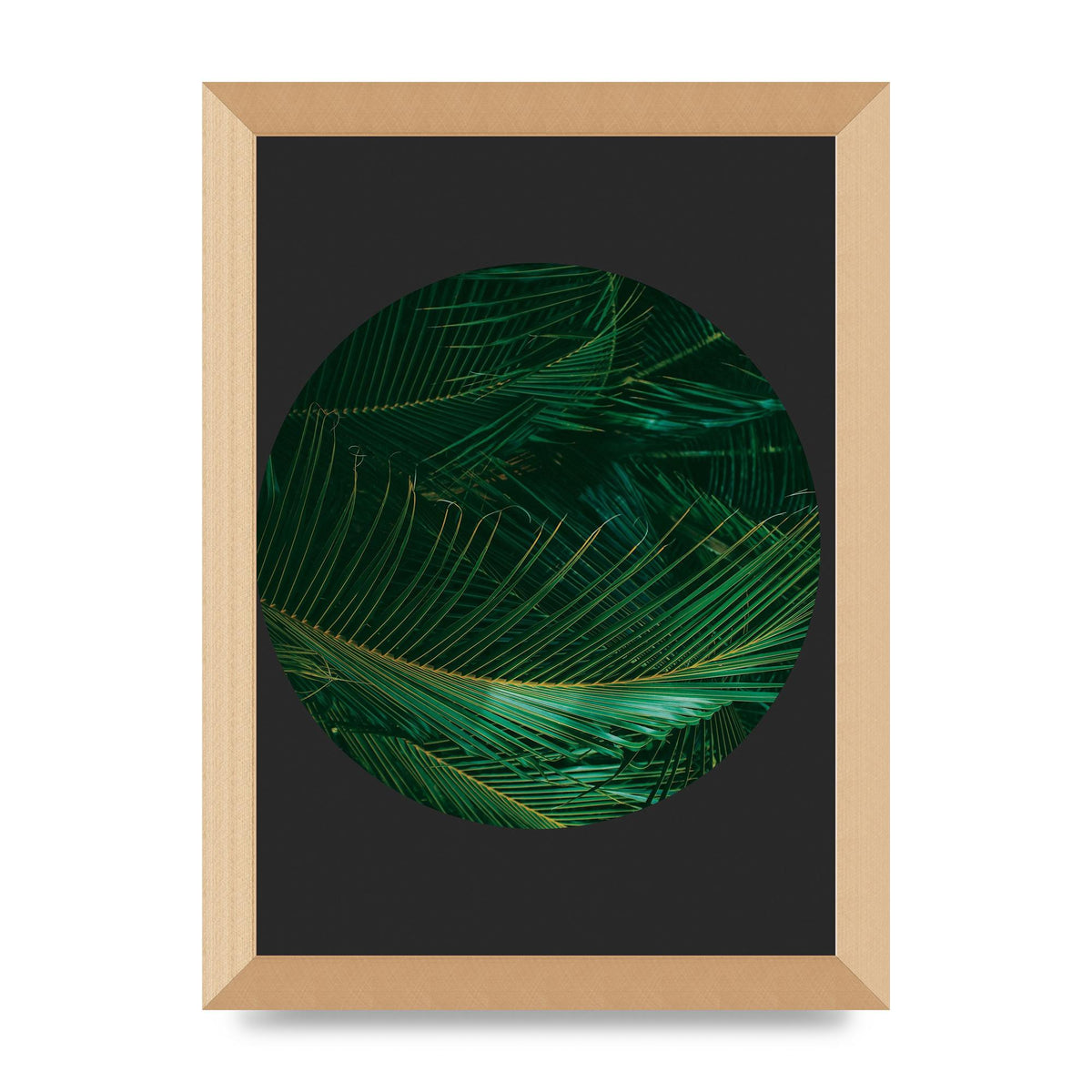 Black Back Green Plant Disc Series Seven Art For The Home - A4 framed