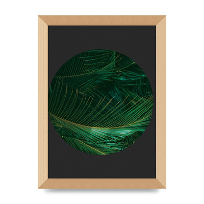 Black Back Green Plant Disc Series Seven Art For The Home - A4 framed