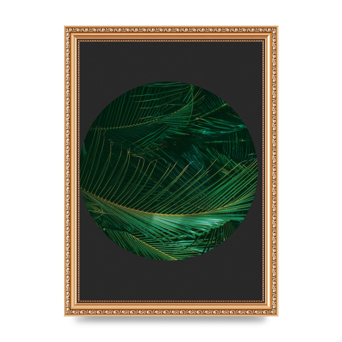 Black Back Green Plant Disc Series Seven Art For The Home - A4 framed