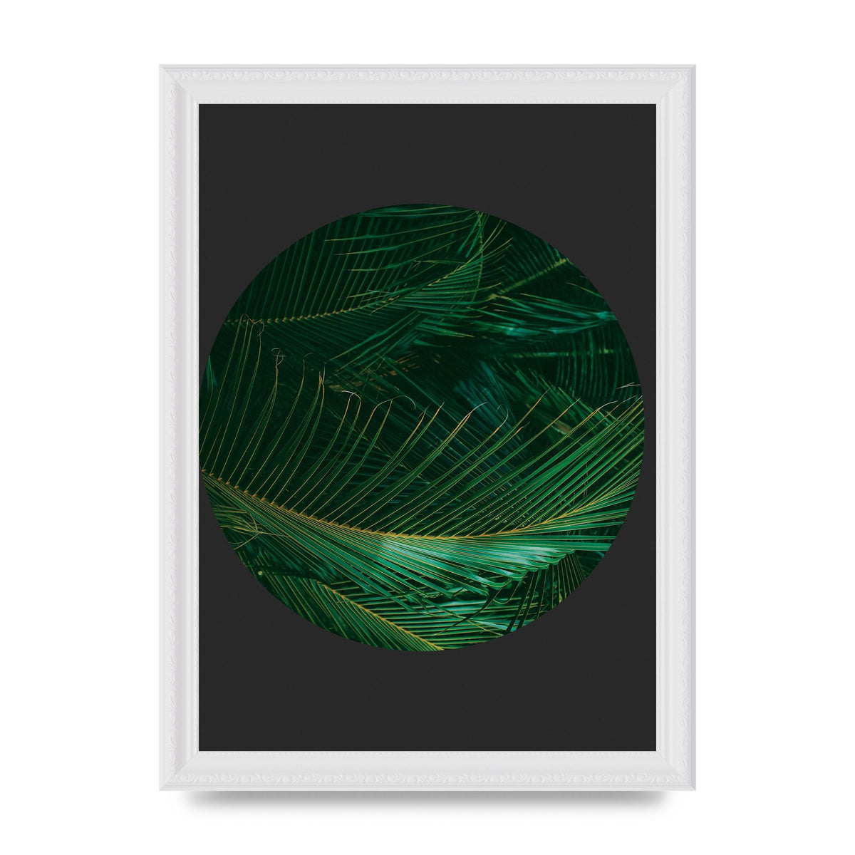 Black Back Green Plant Disc Series Seven Art For The Home - A4 framed
