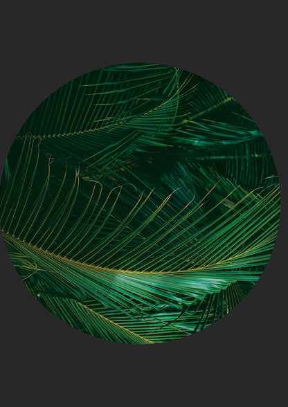 Black Back Green Plant Disc Series Seven Art For The Home - detail
