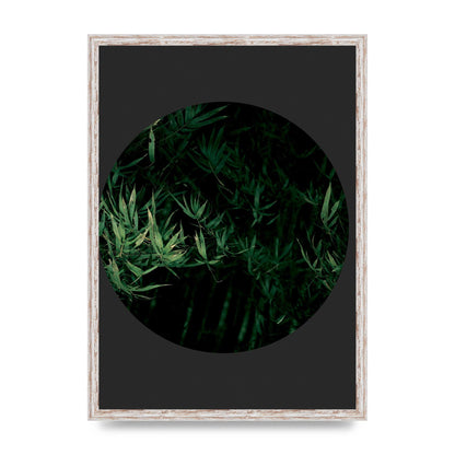 Black Back Green Plant Disc Series Eight Printed Poster - A2 framed