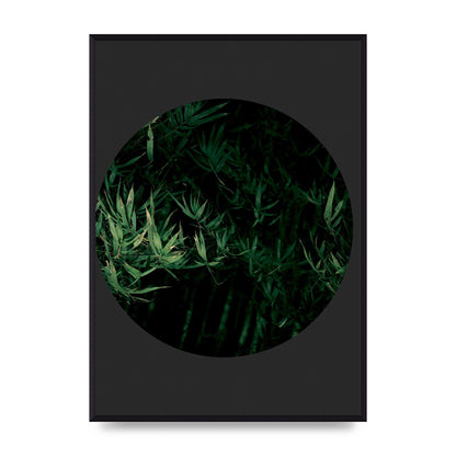 Black Back Green Plant Disc Series Eight Printed Poster - A2 framed
