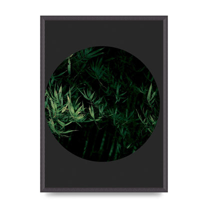 Black Back Green Plant Disc Series Eight Printed Poster - A2 framed