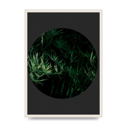 Black Back Green Plant Disc Series Eight Printed Poster - A2 framed