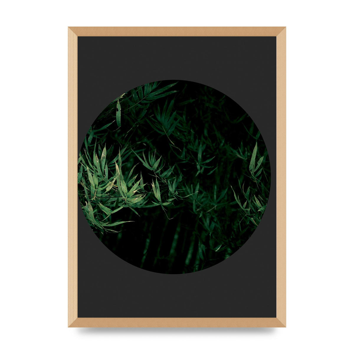 Black Back Green Plant Disc Series Eight Printed Poster - A2 framed
