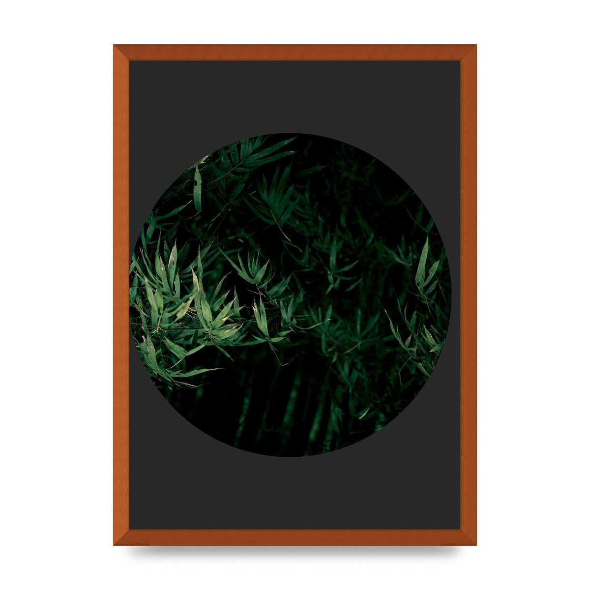 Black Back Green Plant Disc Series Eight Printed Poster - A2 framed
