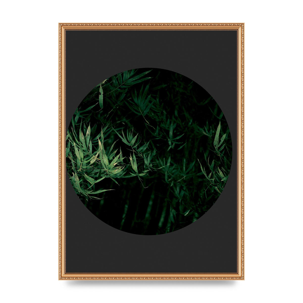 Black Back Green Plant Disc Series Eight Printed Poster - A2 framed
