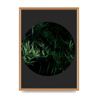Black Back Green Plant Disc Series Eight Printed Poster - A2 framed